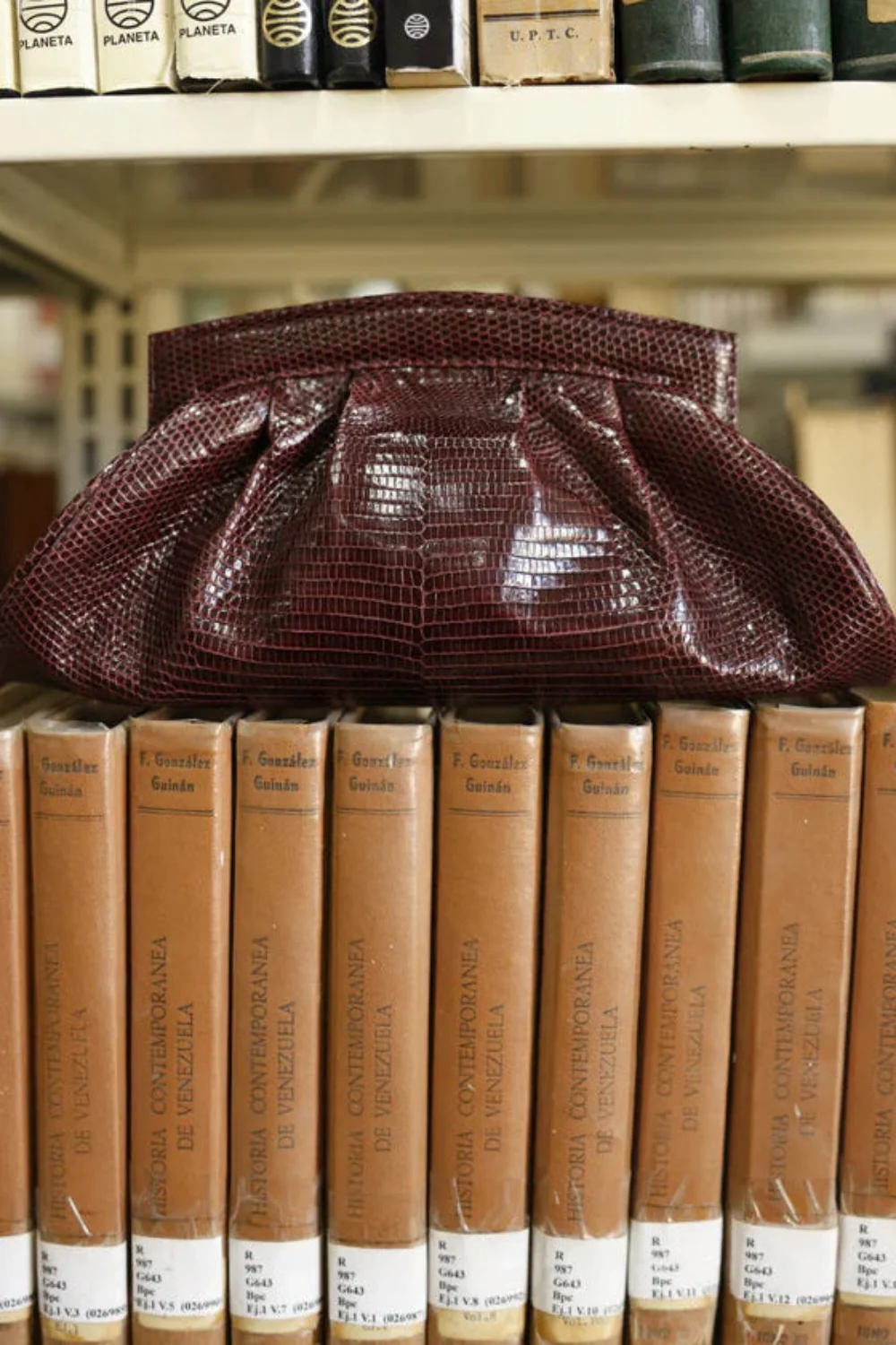 Tina in Lizard Burgundy